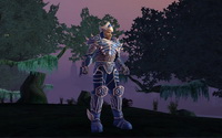   EverQuest's Hero's Forge - 